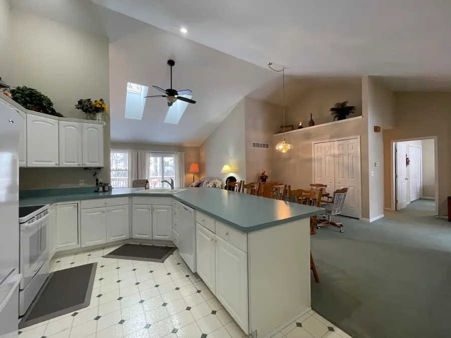 332 Wildwood Drive, Manchester, MI 48158 - Image #3