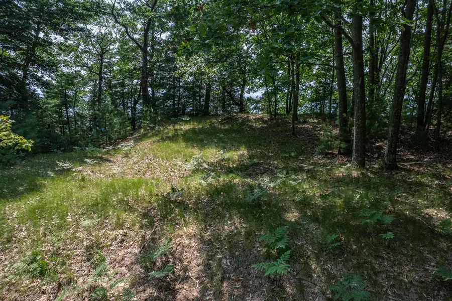 0 S Montgomery Boulevard, Pentwater, MI 49449 - #2
