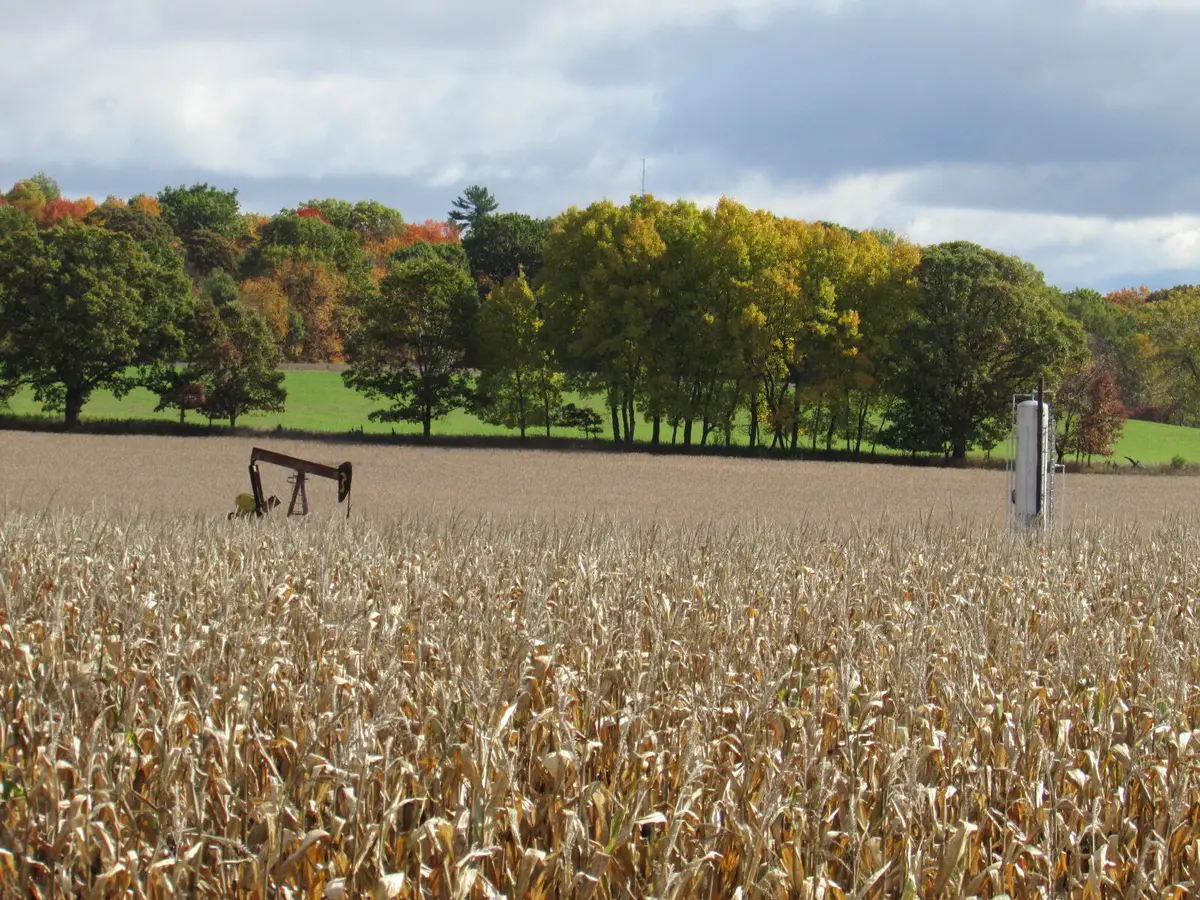 V/L 0000 Briggs Road, Stanton, MI 48888 - Image #1