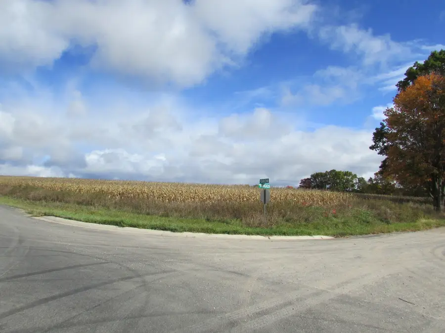 V/L 0000 Briggs Road, Stanton, MI 48888 - Image #3