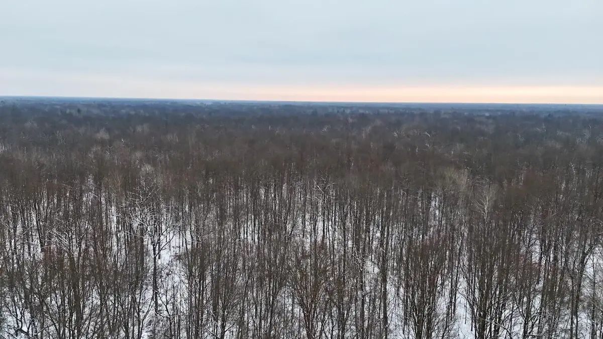 N Magruder Road, Coleman, MI 48618 - Image #1