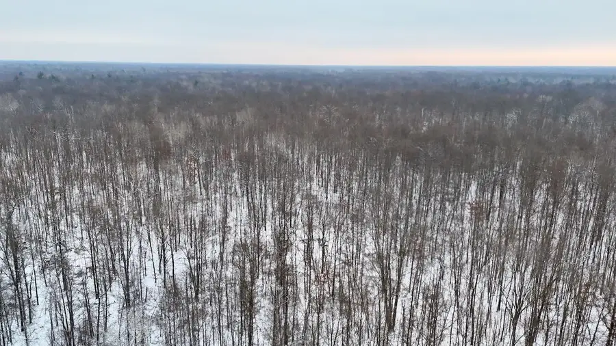 N Magruder Road, Coleman, MI 48618 - Image #2