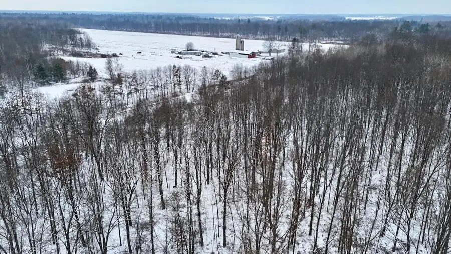 N Magruder Road, Coleman, MI 48618 - Image #3