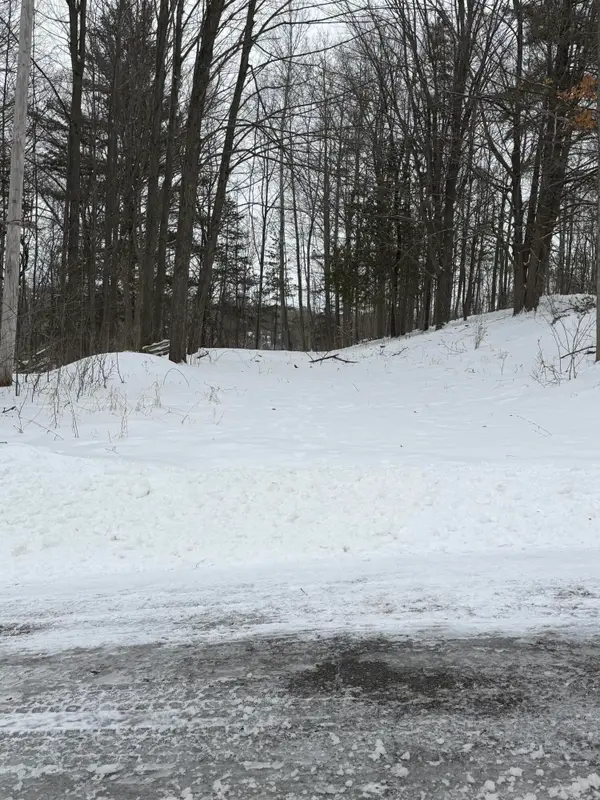 313 W Spruce Street E, Big Rapids, MI 49307