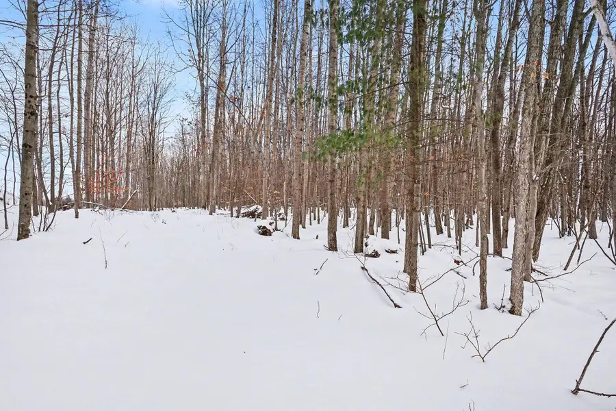 18.9 Acres S 176th Avenue, Hesperia, MI 49421 - Image #2