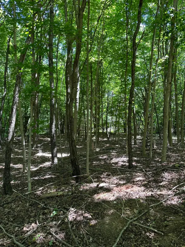Lot 2 Christopher Lane, South Haven, MI 49090