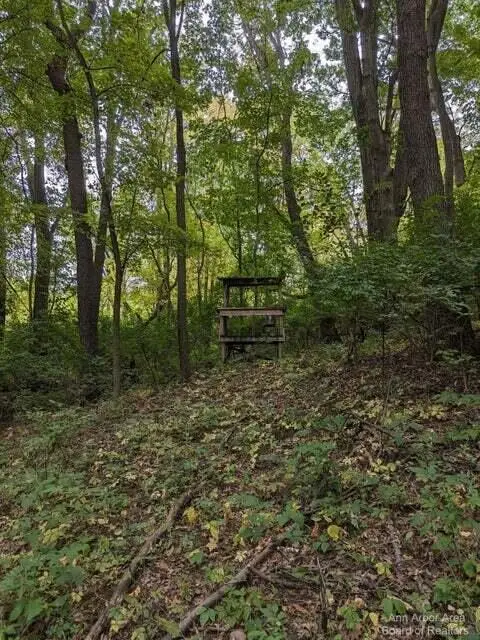 20 AC VL Sears Road, Horton, MI 49246 - Image #3