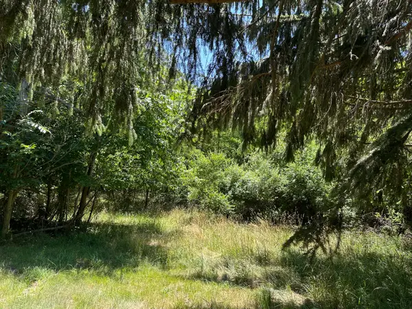 Lot 1 Christopher Lane, South Haven, MI 49090