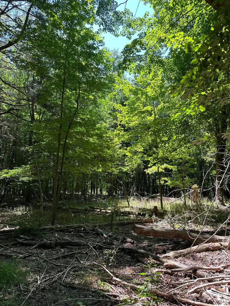 Lot 1 Christopher Lane, South Haven, MI 49090 - #3