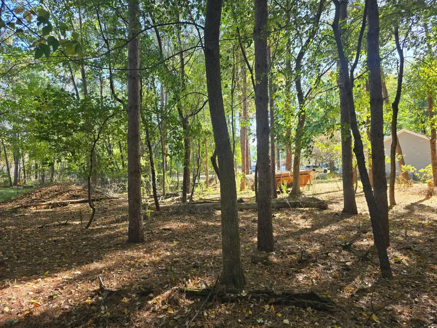 00 V/L Essex Drive, Saint Louis, MI 48880 - #2