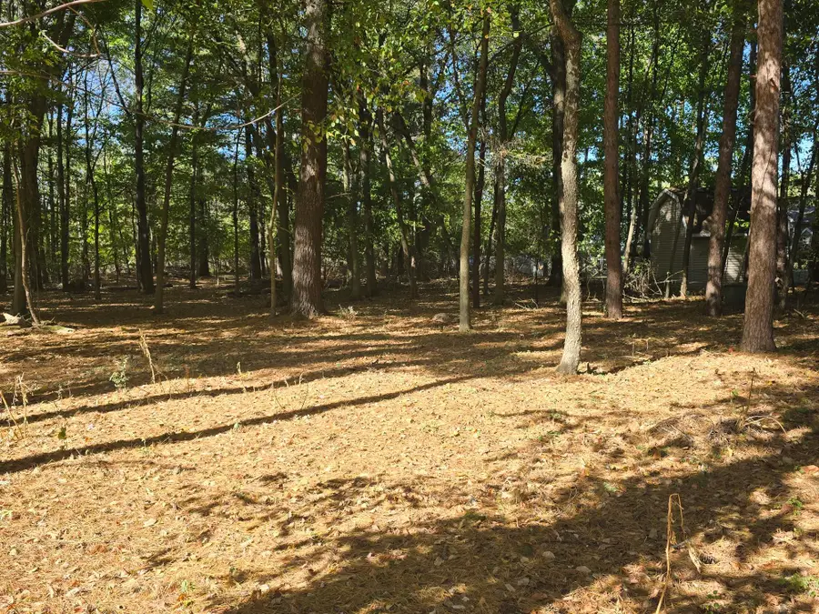 00 V/L Essex Drive, Saint Louis, MI 48880 - #3