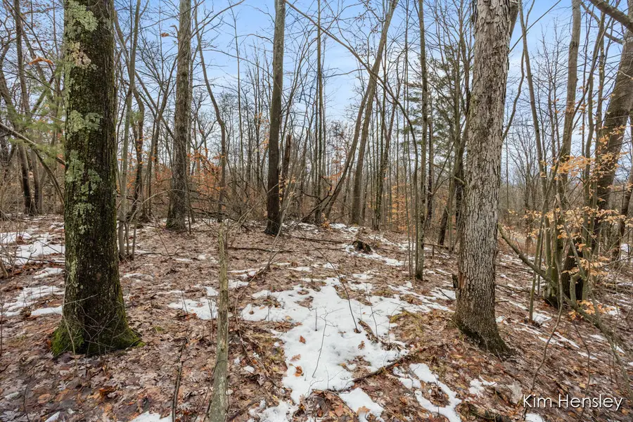 V/L W Wood Lake Road, Pierson, MI 49339 - Image #3