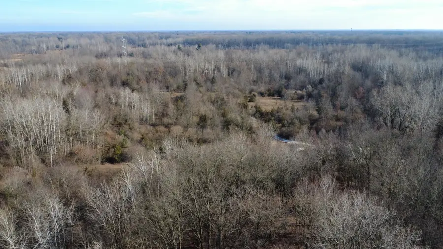 42745 Harris Road, Belleville, MI 48111 - Image #3