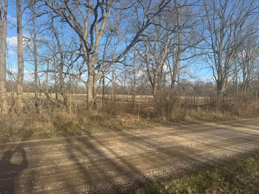 Eagle Pass Drive, Eaton Rapids, MI 48827 - Image #3