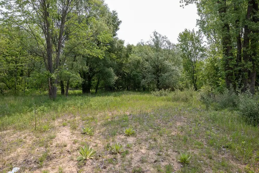 197 E Elm Street, Cedar Springs, MI 49319 - Image #2