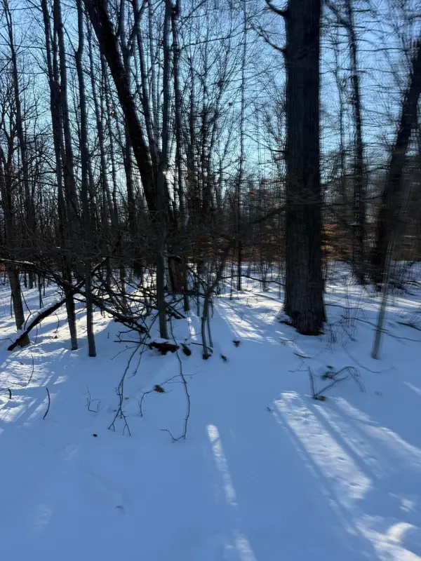 Address Withheld By Seller, Reed City, MI 49677