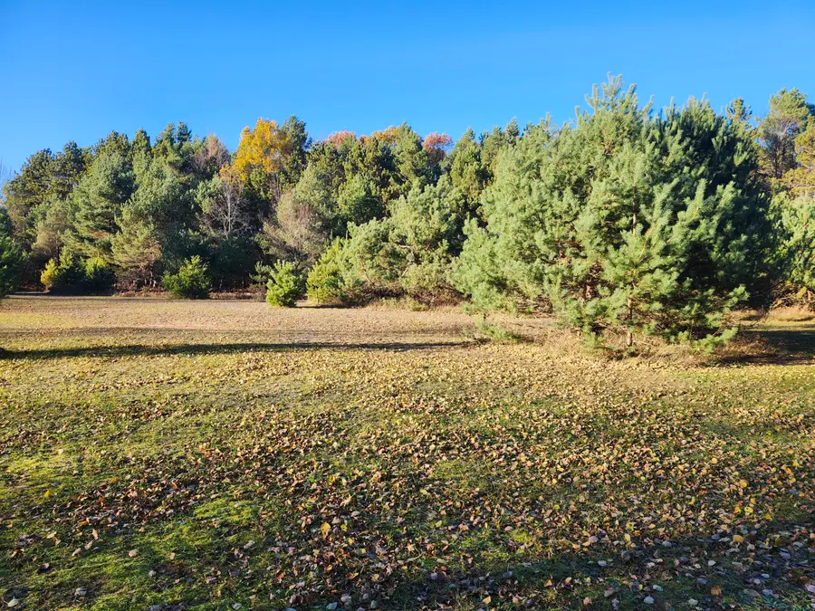 VL 17 9 Mile Road, Kaleva, MI 49645 - Image #3