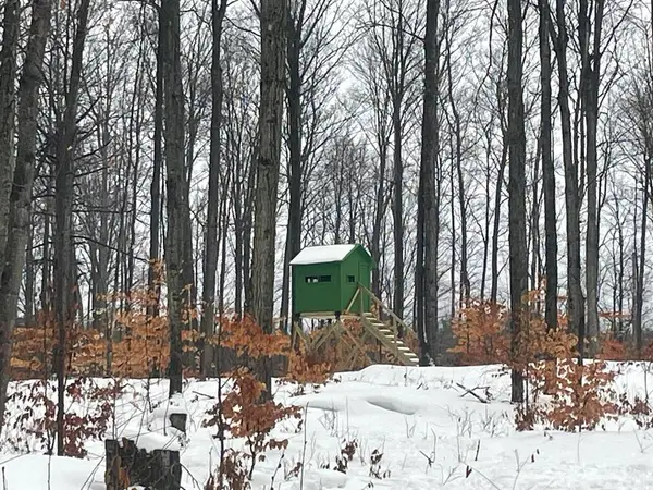 20350 Lindy Road, Copemish, MI 49625