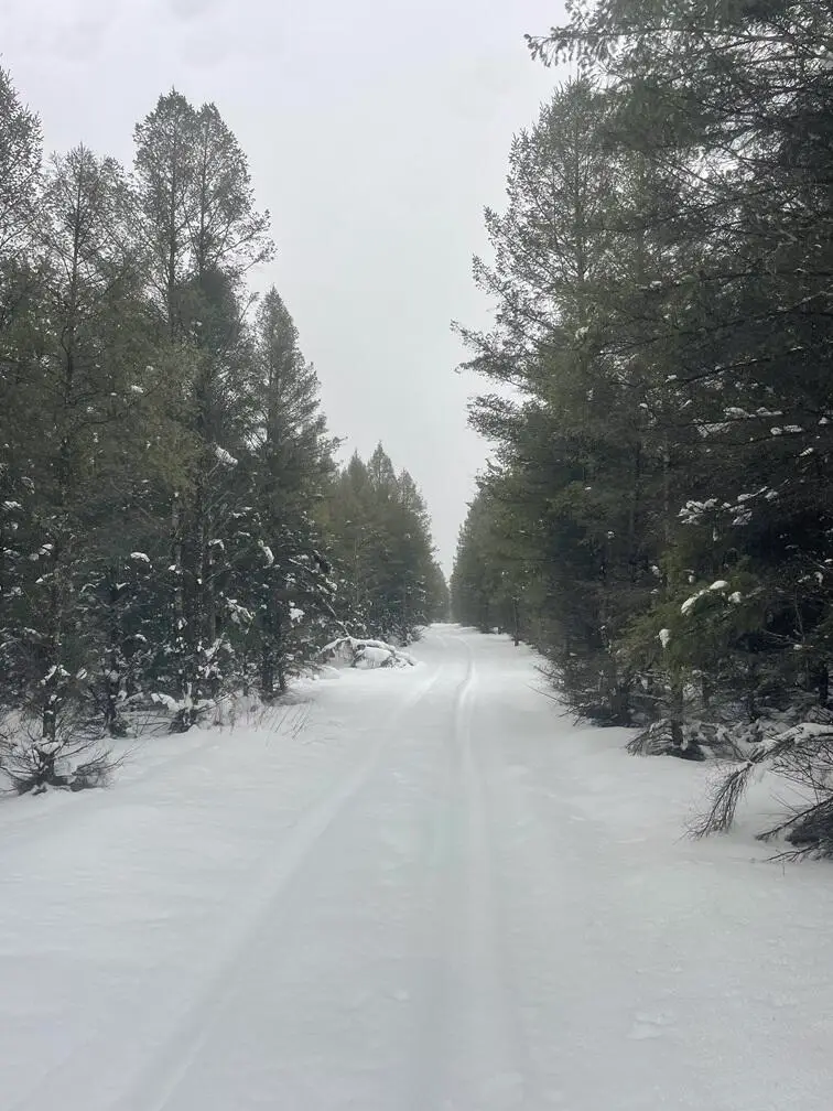 20350 Lindy Road, Copemish, MI 49625 - Image #2