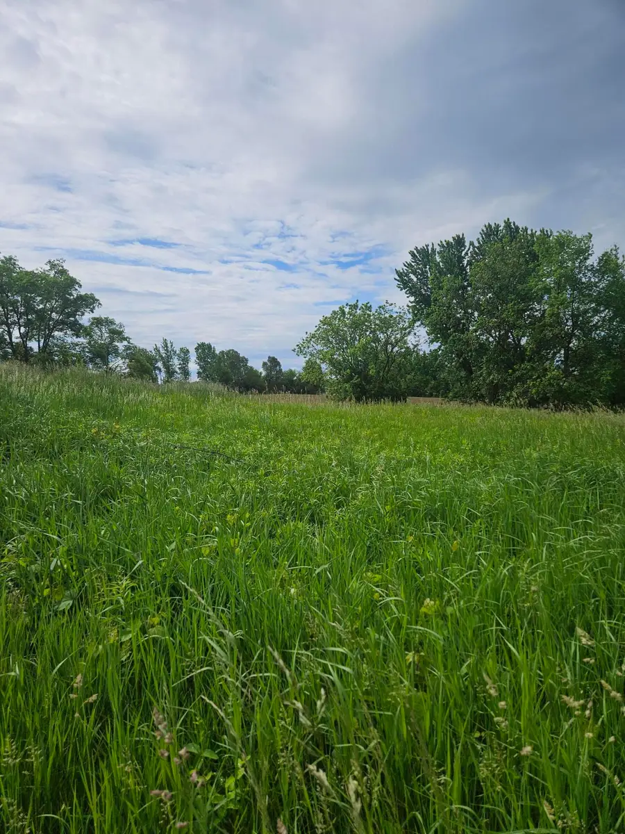 10800 Crooked Lake Drive Ne, Rockford, MI 49341 - Image #2