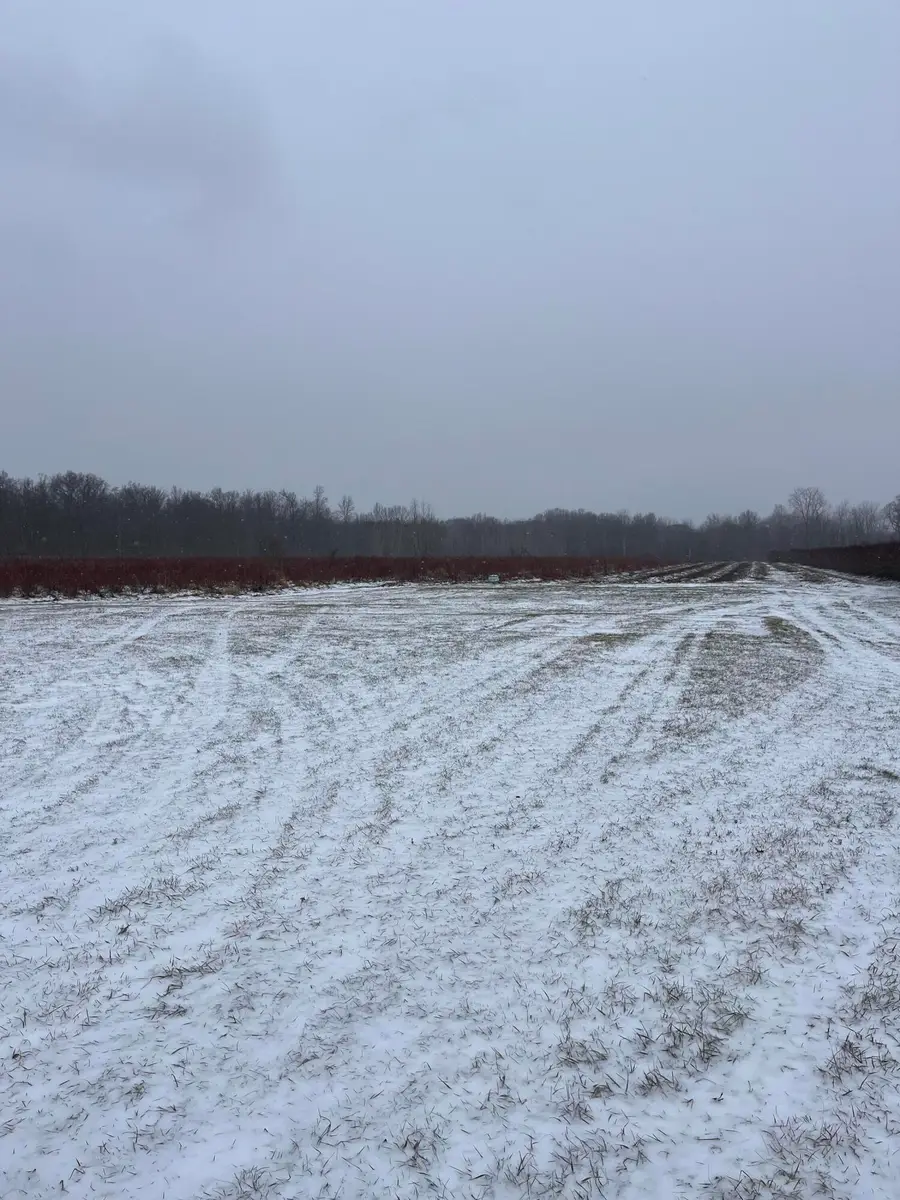 6892 56th Street, Grand Junction, MI 49056 - Image #2