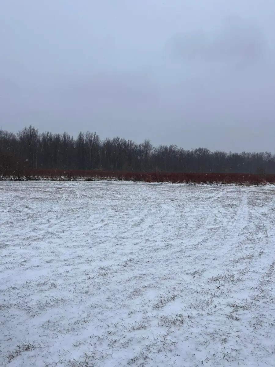 6892 56th Street, Grand Junction, MI 49056 - Image #3