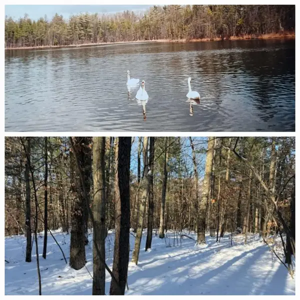 30 W Stanton Road, Stanton, MI 48888