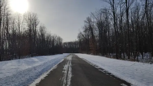 794 Greystone Drive #7, Chelsea, MI 48118