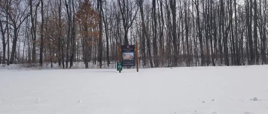 794 Greystone Drive #7, Chelsea, MI 48118 - #2