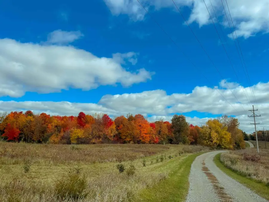 10001 Pioneer Road, Osseo, MI 49266 - #3