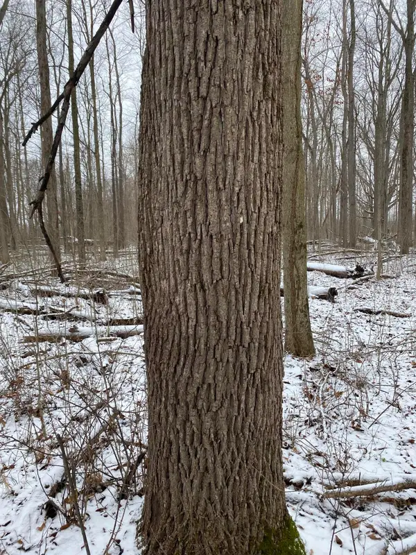 W Copeland Road #2, Bronson, MI 49028