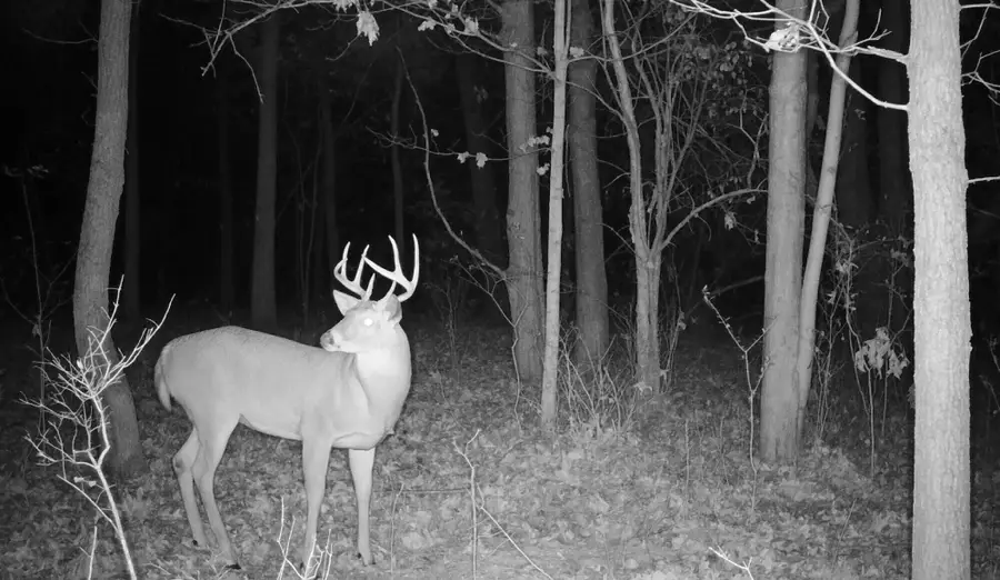 V/L 56th Avenue, Paw Paw, MI 49079 - #3