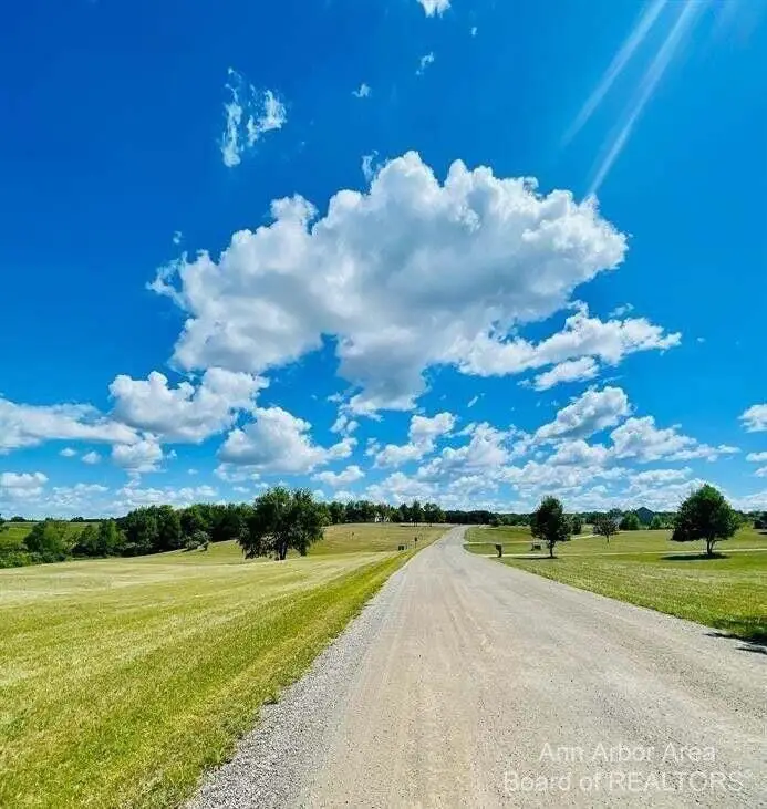 17118 Nollar Lane, Manchester, MI 48158 - #3