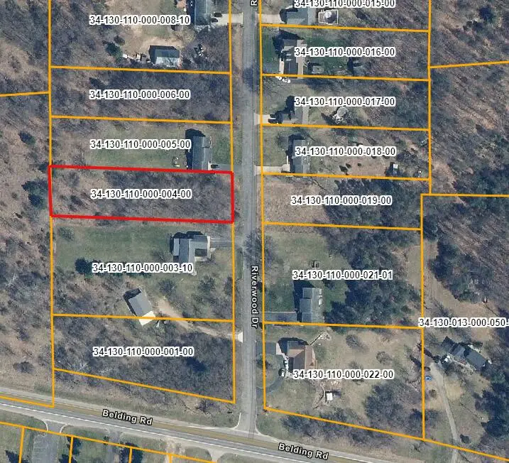 6961 Riverwood Drive, Belding, MI 48809 - #2