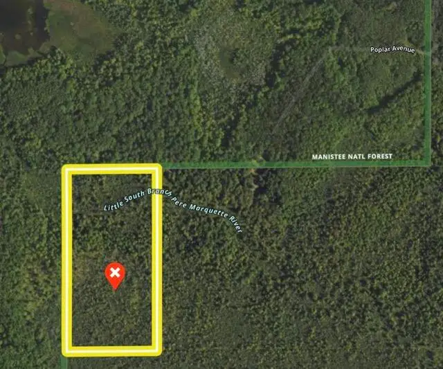 00 VL Poplar Avenue, Bitely, MI 49309 - #1