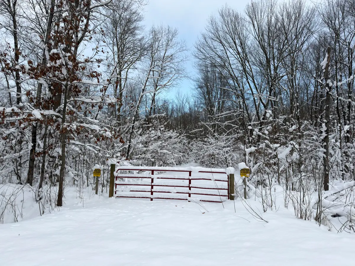 10830 W 3 Mile Road, Branch, MI 49402 - #1