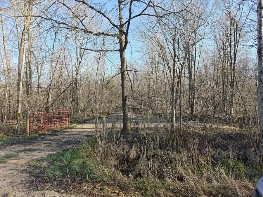 10830 W 3 Mile Road, Branch, MI 49402 - #2