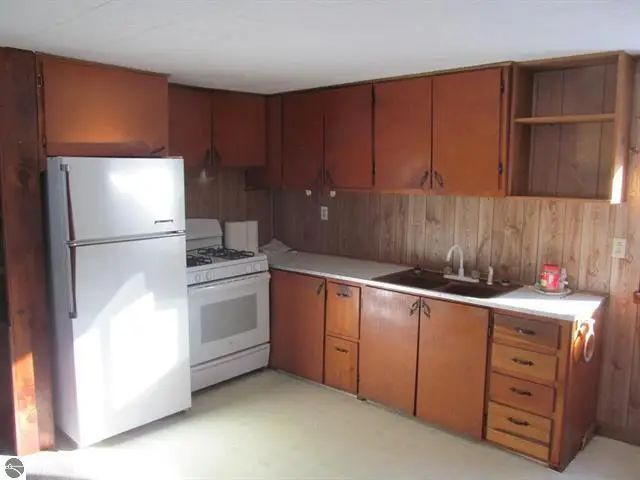 17166 50th Avenue, Marion, MI 49665 - #2