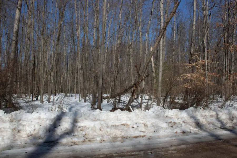 8158 Highland Trail, Canadian Lakes, MI 49346 - #2