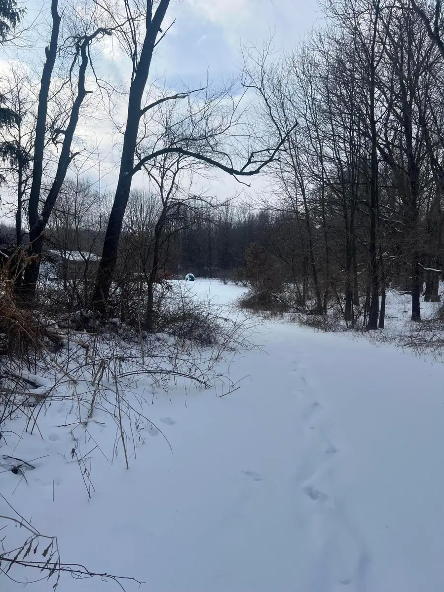 0 28 Mile Road, Albion, MI 49224 - Image #2