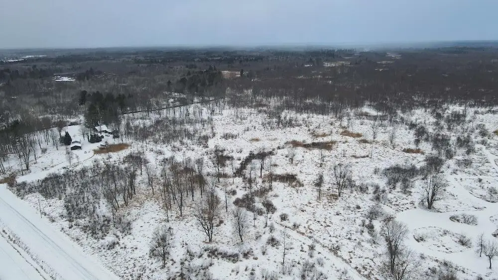 78.5 Acres Alabaster Road, Tawas City, MI 48763 - Image #1