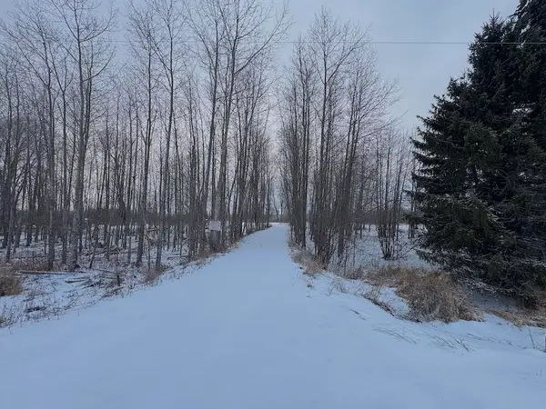 1.5 Acres Alabaster Road, Tawas City, MI 48763