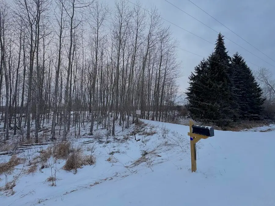 1.5 Acres Alabaster Road, Tawas City, MI 48763 - Image #3