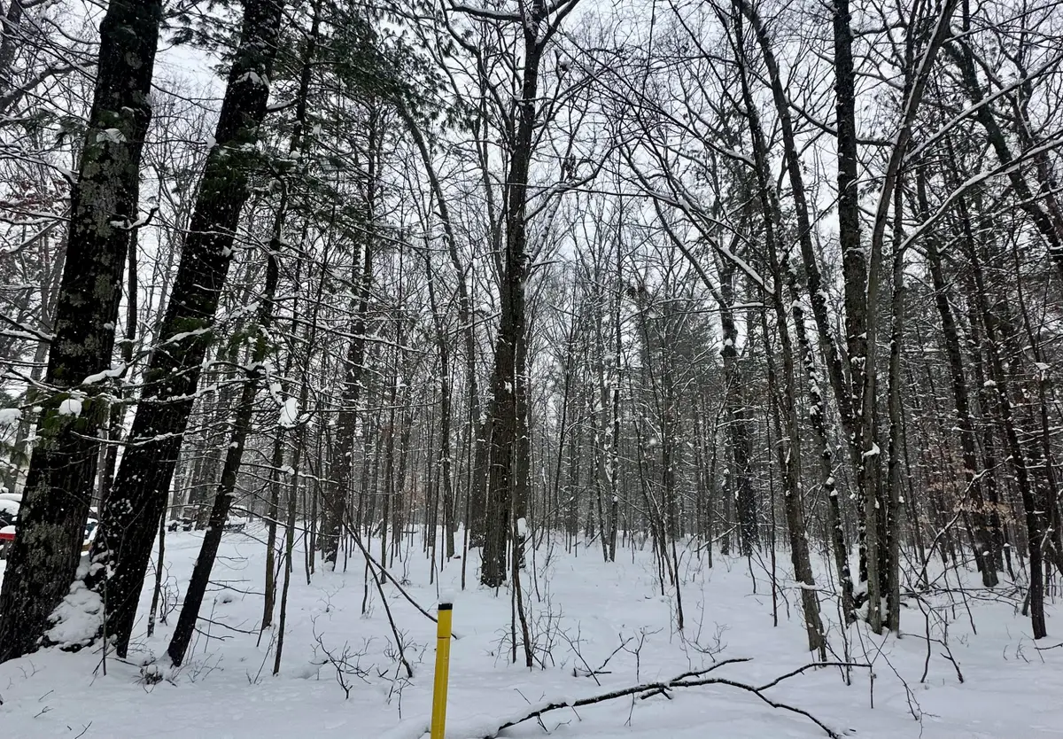 00 Saux Lane, Big Rapids, MI 49307 - #1