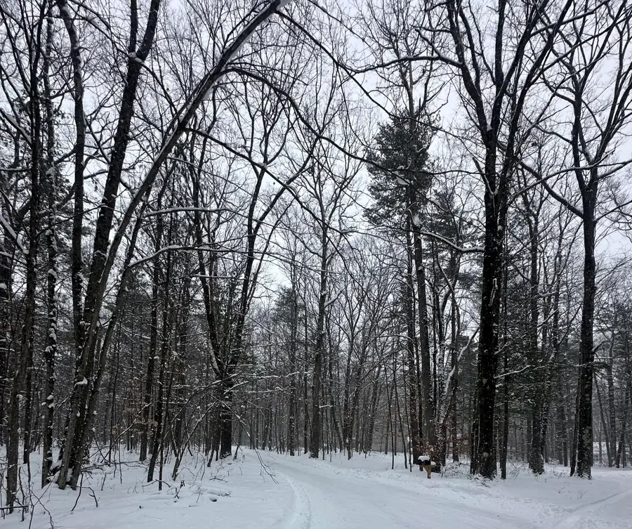 00 Saux Lane, Big Rapids, MI 49307 - #2