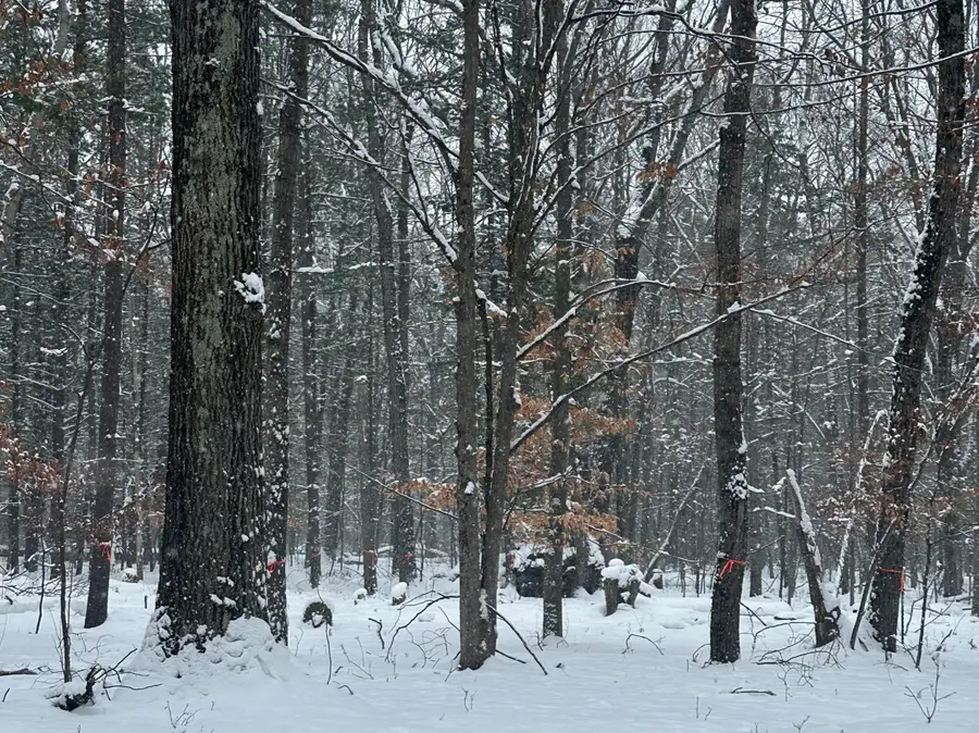 00 Saux Lane, Big Rapids, MI 49307 - #3