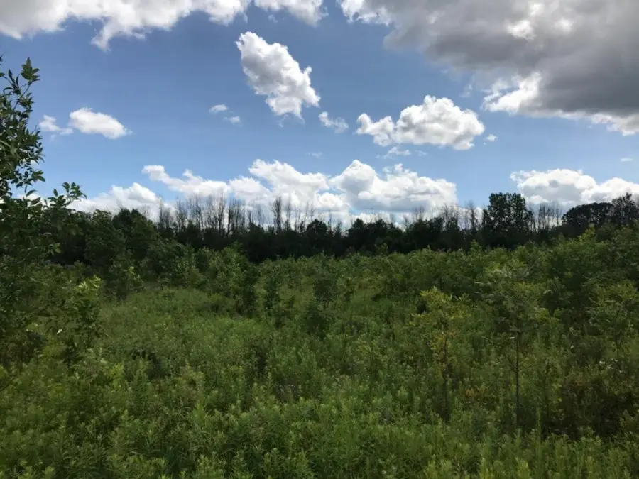 5312 18 Mile Road Ne, Cedar Springs, MI 49319 - #3