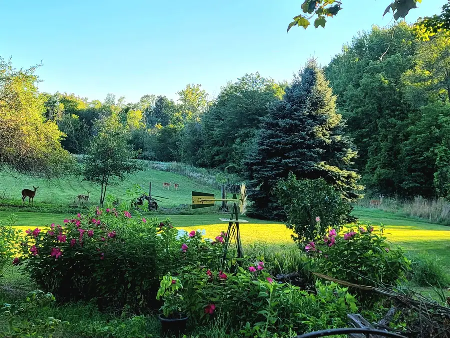 4885 Gavin Lake Road Ne, Ada, MI 49301 - #2