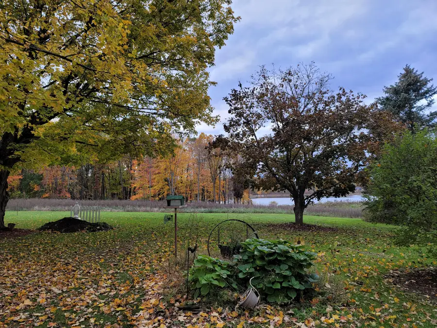 4885 Gavin Lake Road Ne, Ada, MI 49301 - #3