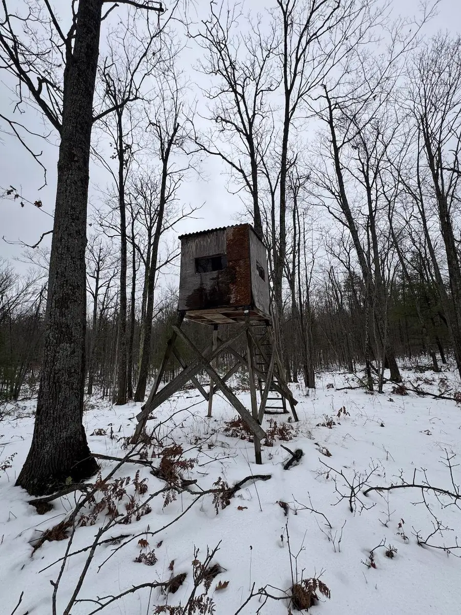 12871 Michigan 33, Atlanta, MI 49709 - #3